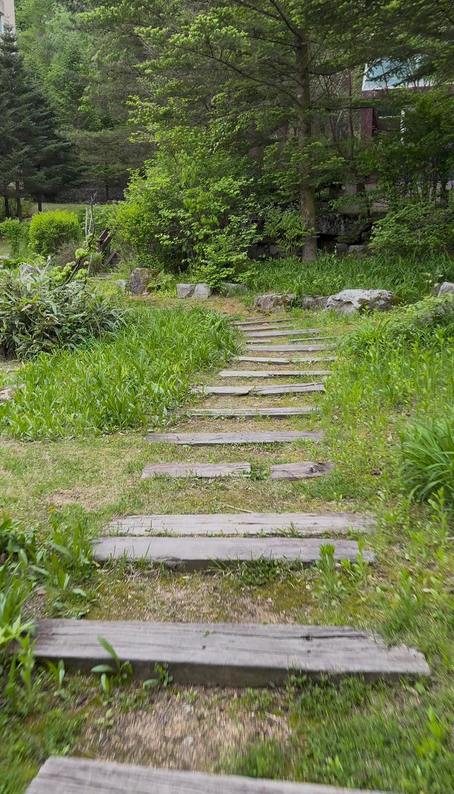 圖
